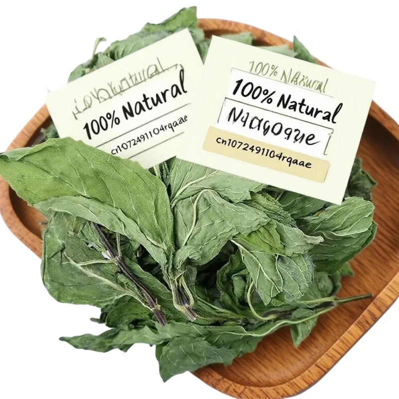 Candle Making Bath - Daun Mint Kering Alami Premium Untuk