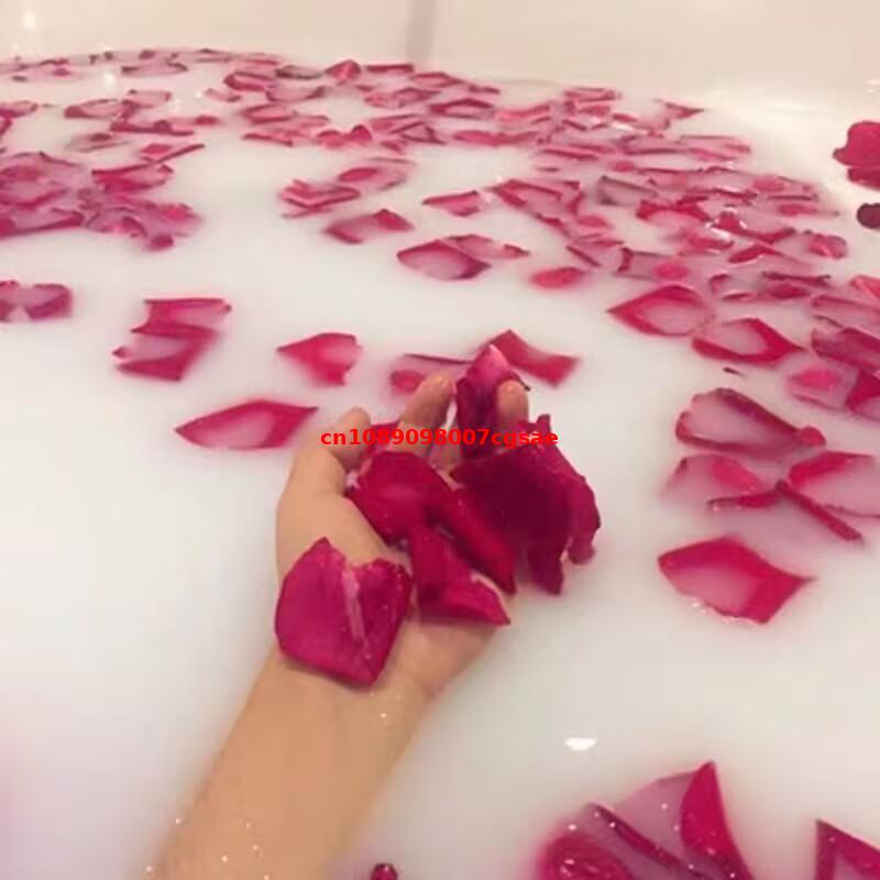 Candle Making Bath - Kelopak Mawar Alami Berkualitas Tinggi Bunga