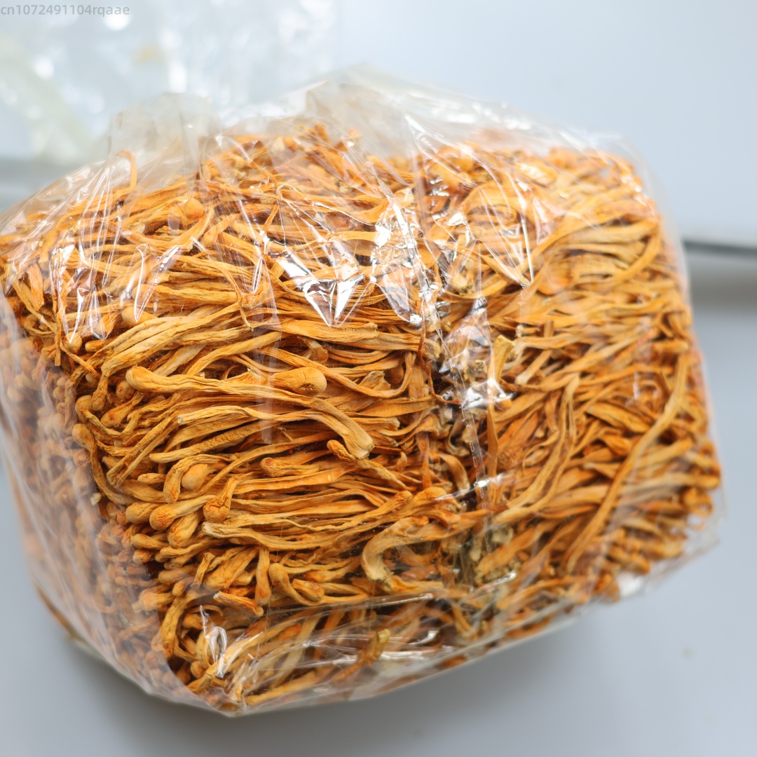 Candle Making Party - 250g/500g Cordyceps Bunga Kering Alami Premium
