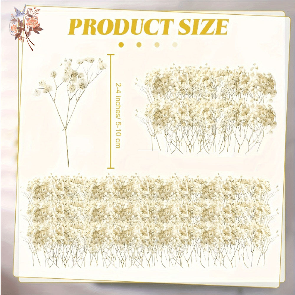 Bunga Gypsophila Kering Mini D - Candle Making Uk ulasan dan harga