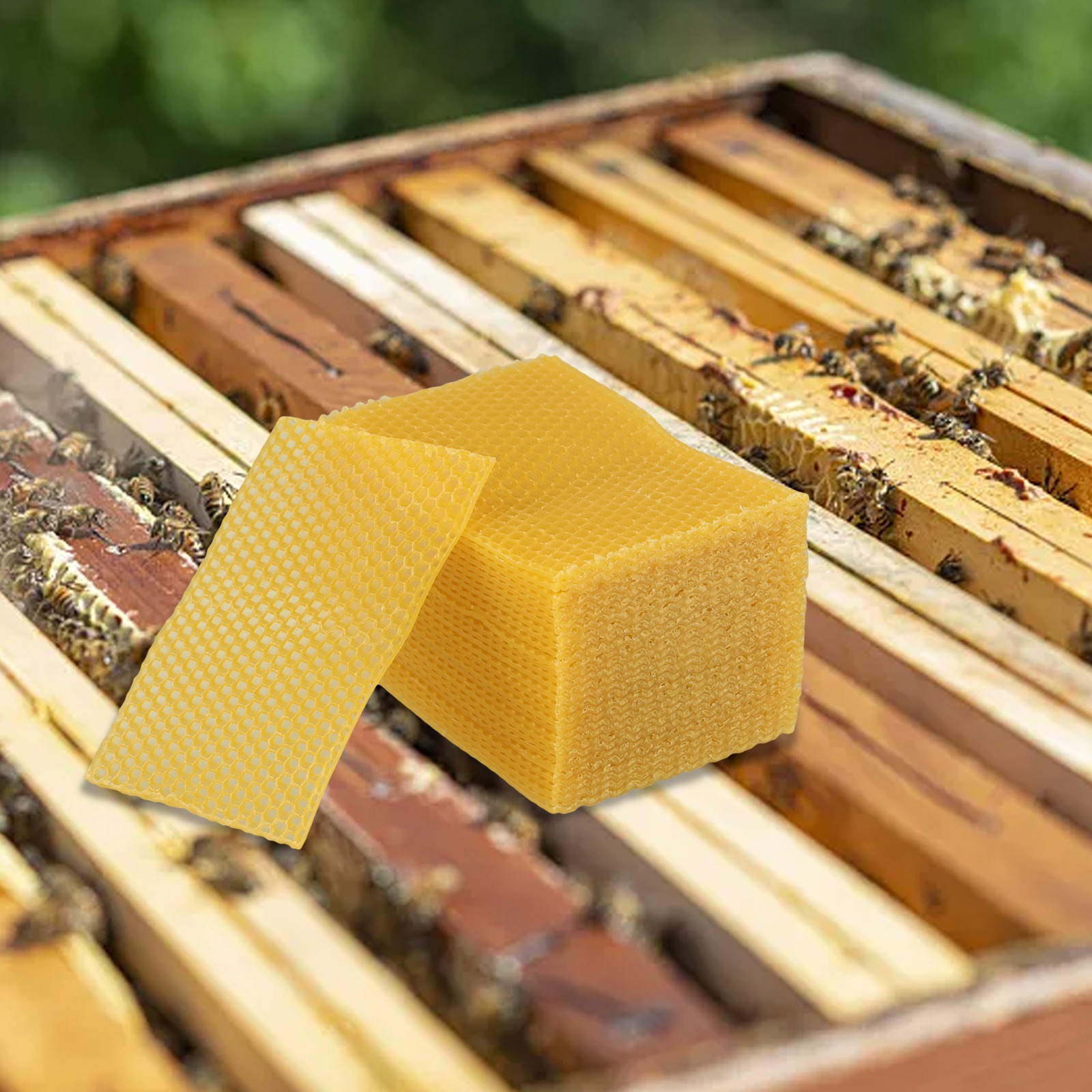Lembaran Lilin Lebah 5.24 X 3. - Candle Making Kit Beeswax ulasan dan harga