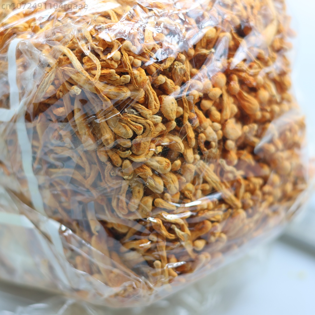 250g/500g Cordyceps Bunga Keri - Candle Making Party ulasan dan harga